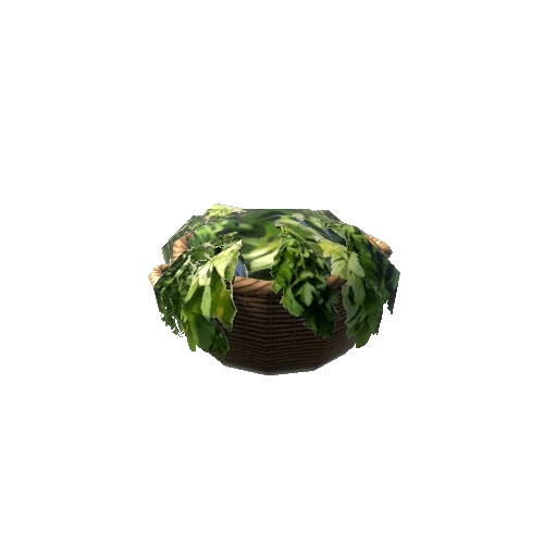 Set_Basket_Lettuce Variant